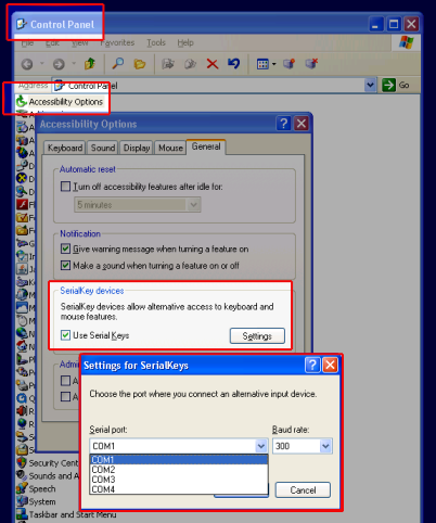 Control Panel > Acessibility > General tab > SerialKeys